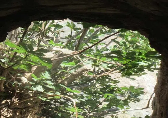 آتشکده آذربرزین مهر ریوند