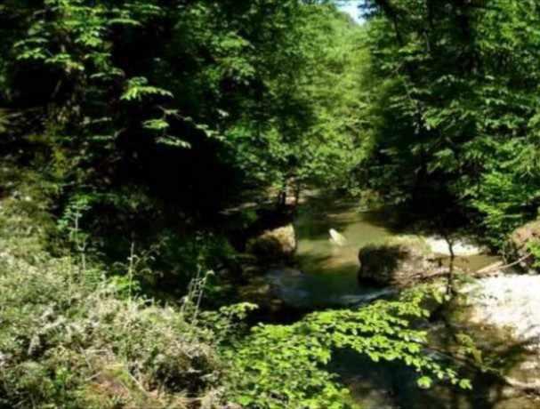 آبشار پلنگ دره