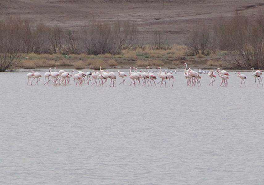 سد خاکی مدرس