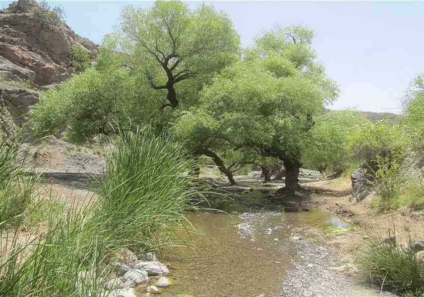 روستاگرماب