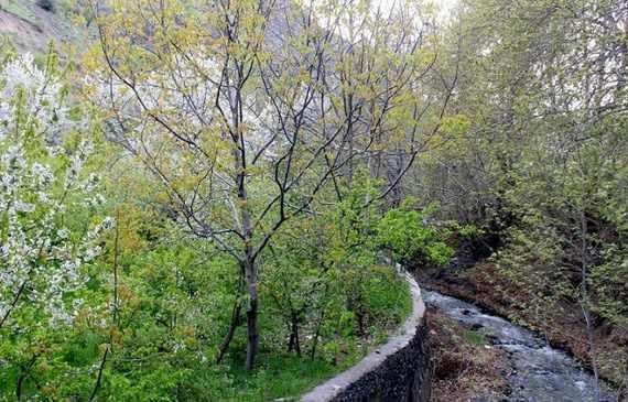 روستای گردشگری نغندر