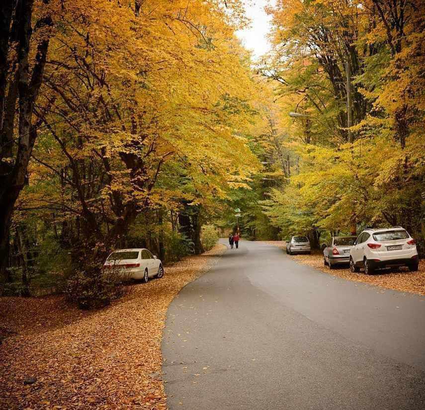 پارک جنگلی دلند