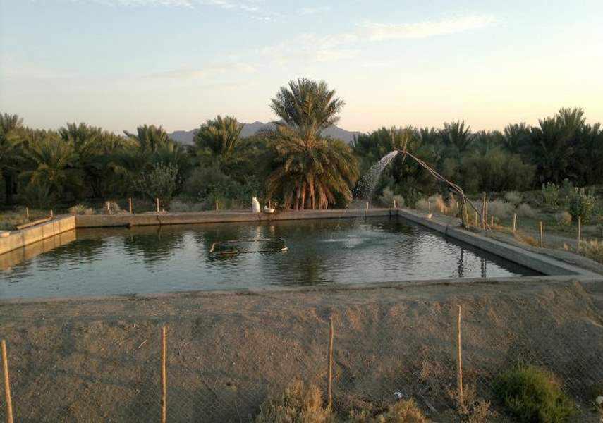 روستای هوراب با نخلستان هایی سرسبز