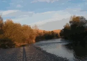 پارک ساحلی زرین شهر