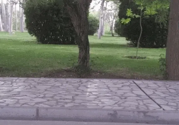 پارک ساحلی زرین شهر