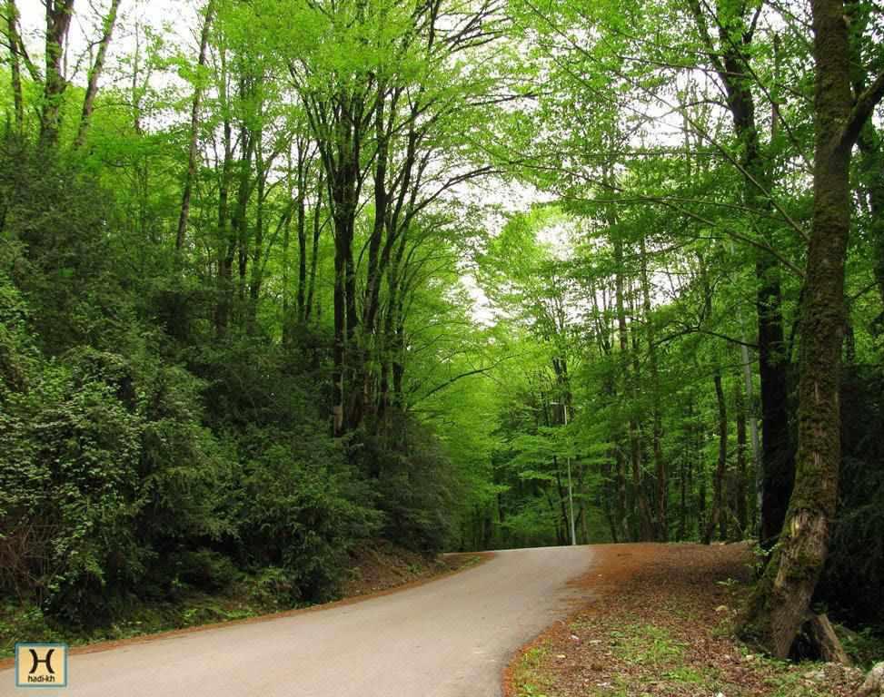 پارک جنگلی بزچفت بابل کجاست