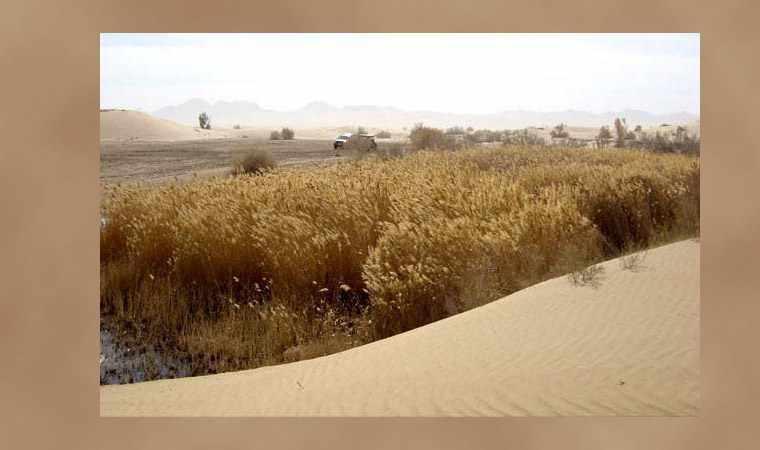 روستای توریستی مصر