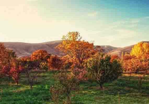 روستای زیبای آندرخ مشهد