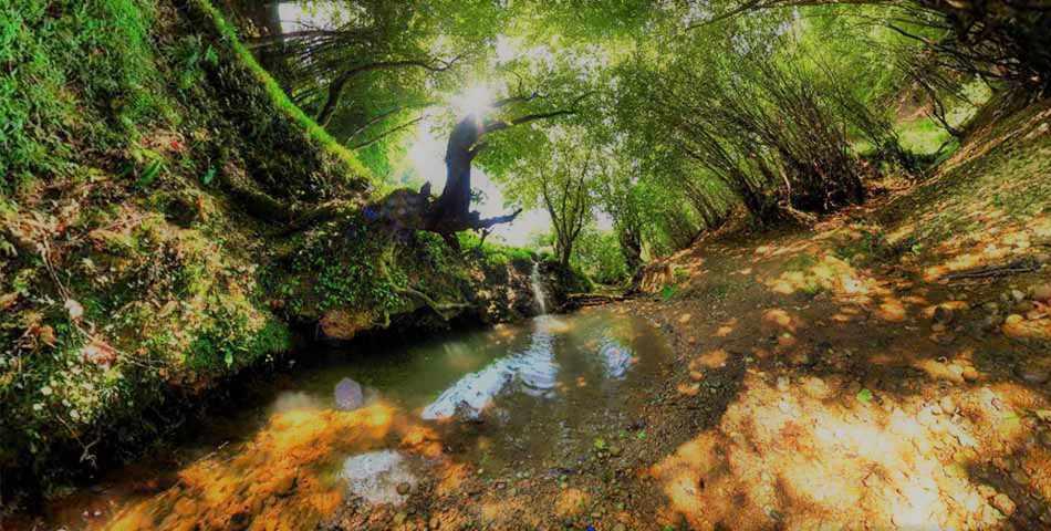 پارک جنگلی بزچفت بابل کجاست