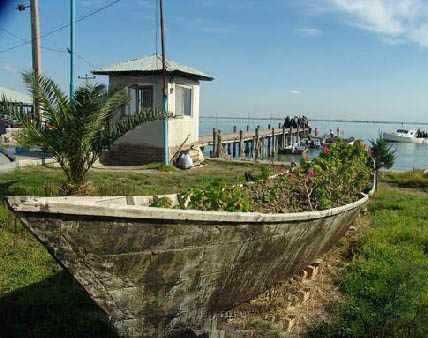 جزیره آشوارده، بزرگترین جزیره ایران