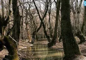 چشمه لاله گلستان