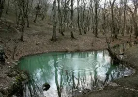 چشمه لاله گلستان