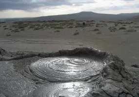 گل فشان پیرگل، گل هایی با خواص درمانی