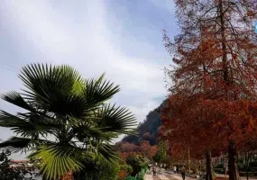 بام سبز لاهیجان
