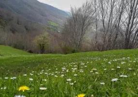 دریاچه بره سر - دریاچه ویستان