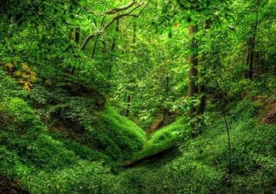 چشمه لاله گلستان