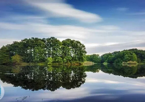 تالاب سوستان لاهیجان