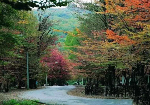 پارک جنگلی ناهار خوران، معروف ترین و زیباترین پارک گرگان