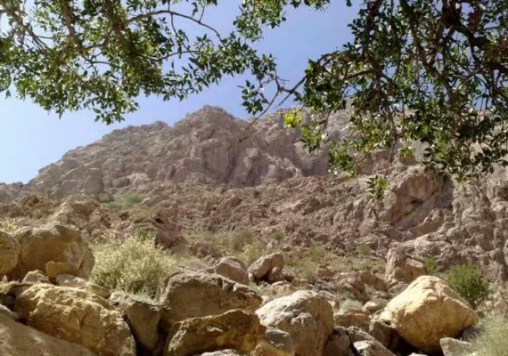 حیات وحش بیرک، زیستگاه پلنگ ایرانی