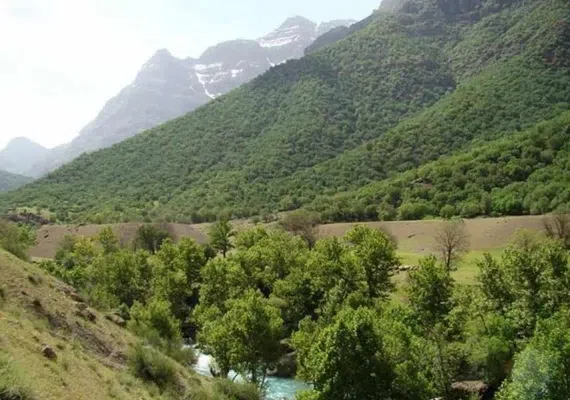 دره نی گاه لرستان، دره ای در زاگرس