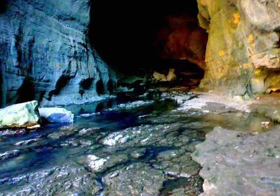 غار شیر آباد، زیستگاه سمندر غارزی گرگانی