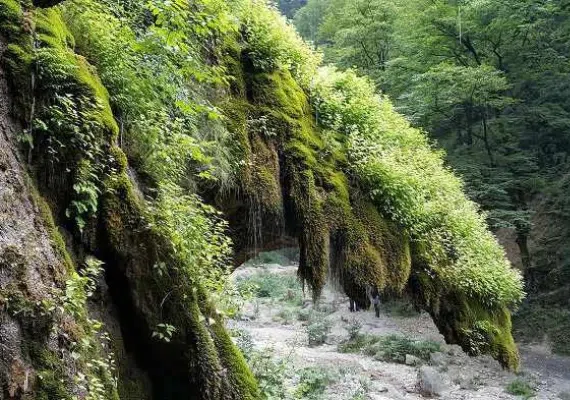 آبشار باران کوه