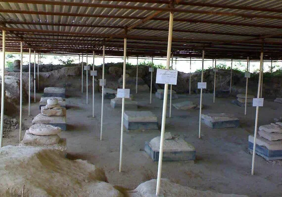 کاخ بردک سیاه، کاخ داریوش اول