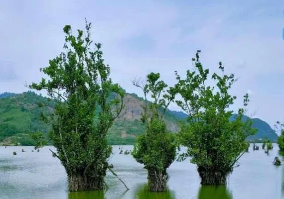 تالاب استیل