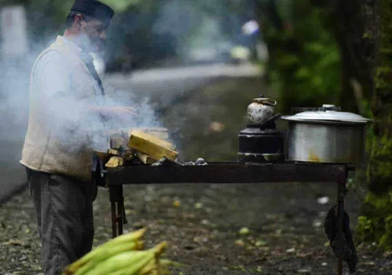 پارک جنگلی گیسوم