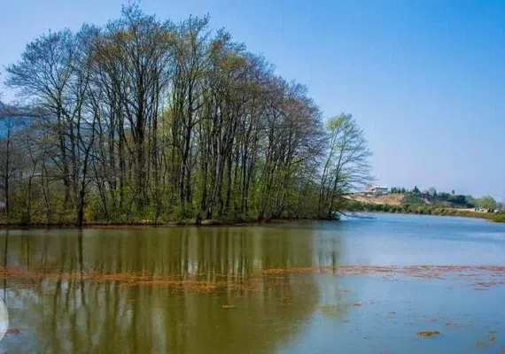 تالاب سوستان لاهیجان