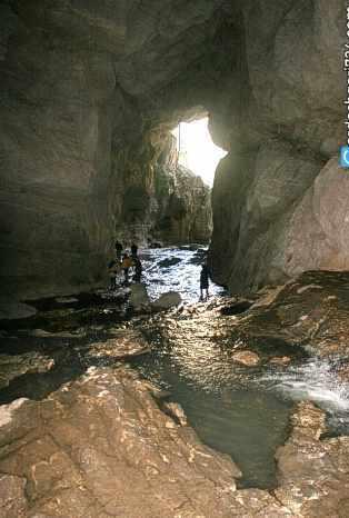 غار شیر آباد، زیستگاه سمندر غارزی گرگانی