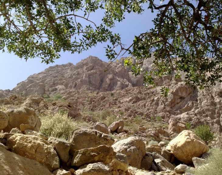 حیات وحش بیرک، زیستگاه پلنگ ایرانی