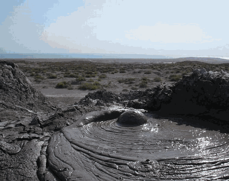 گل فشان پیرگل، گل هایی با خواص درمانی