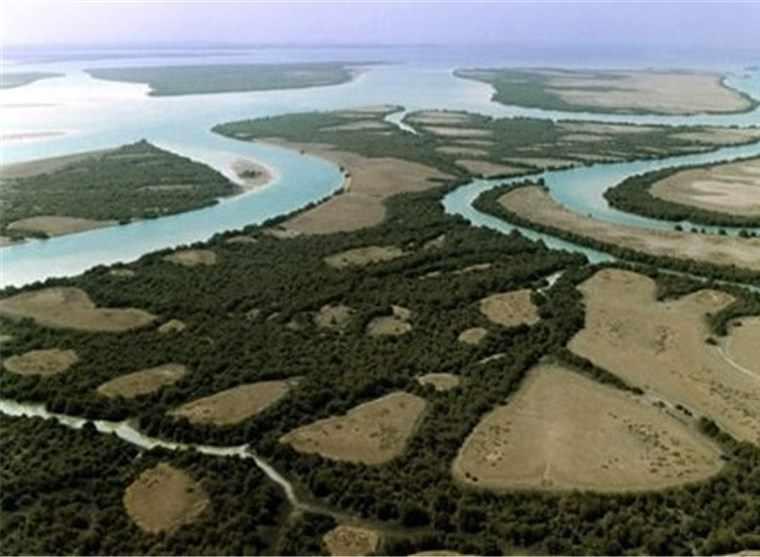 پارک ملی دریایی دیر-نخیلو، بهشت پرندگان و زیباترین پارک پرندگان در خاورمیانه