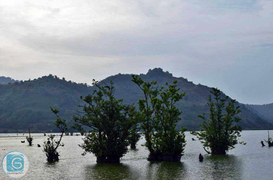 تالاب استیل