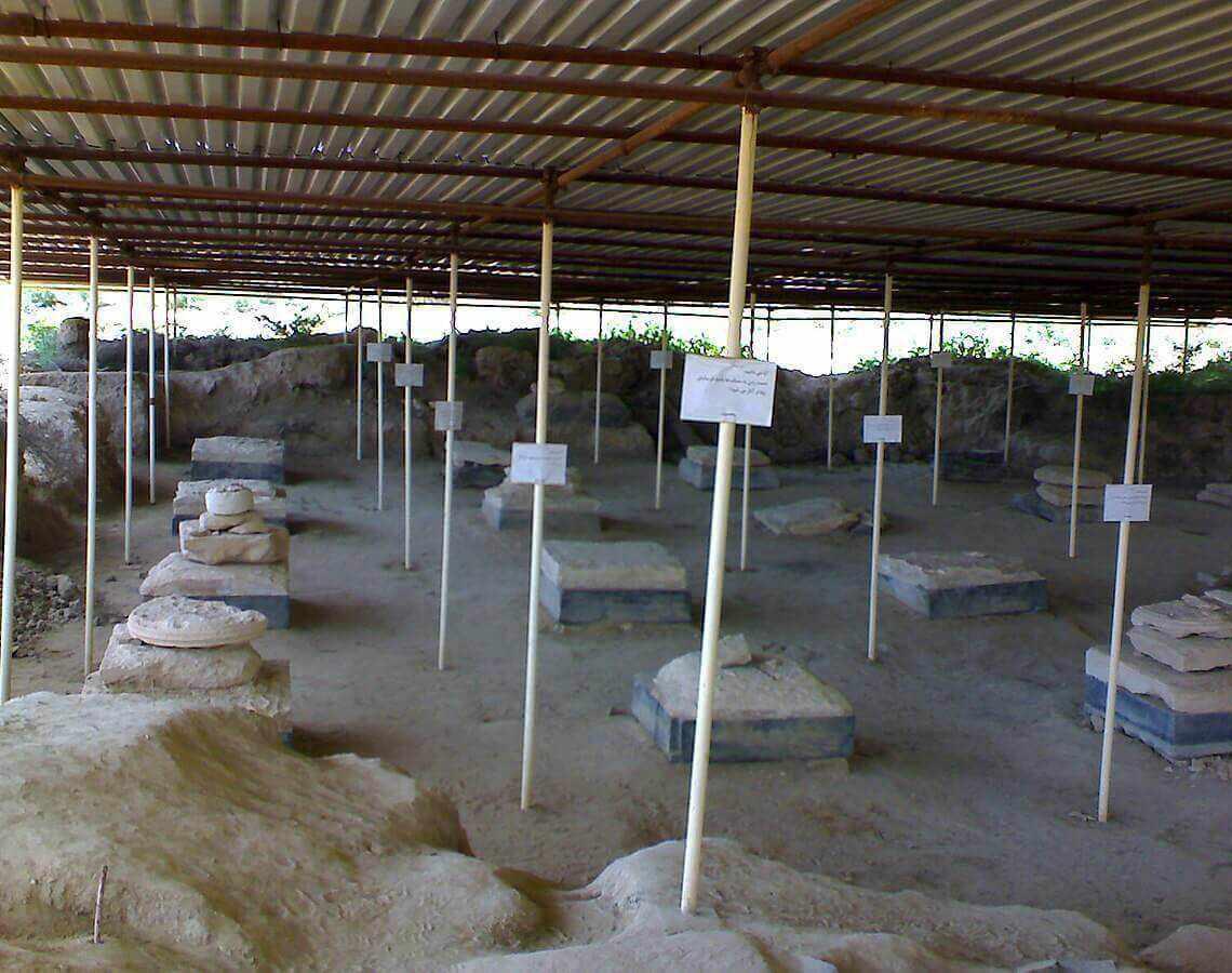 کاخ بردک سیاه، کاخ داریوش اول