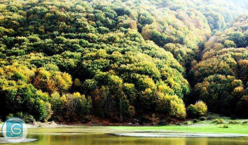 دریاچه بره سر - دریاچه ویستان