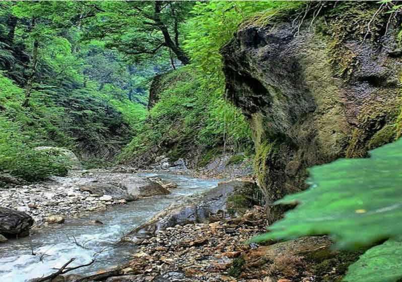 جنگل شصت کلا کجاست