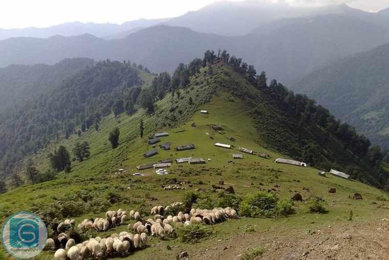 منطقه ییلاقی دشت النزه ماسال