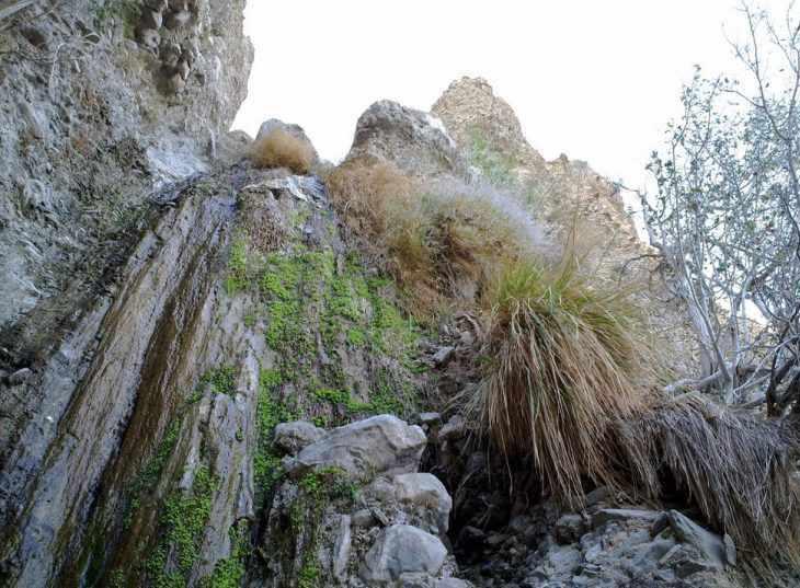 کوهک، شرقی ترین آبشار زیبای ایران