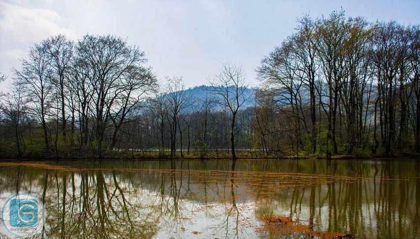 تالاب سوستان لاهیجان