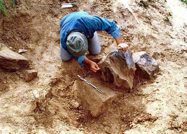 کاخ بردک سیاه، کاخ داریوش اول