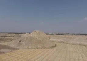 تل ضحاک