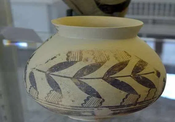 تل باکون، دشتی در کنار تخت جمشید