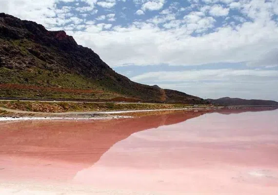 لیپار، دلربای صورتی ایران