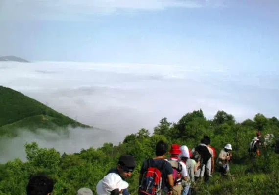 جنگل افراتخته علی آبادکتول