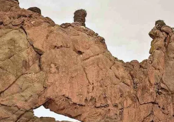 قلعه لک لک ها، شگفتی از طبیعت
