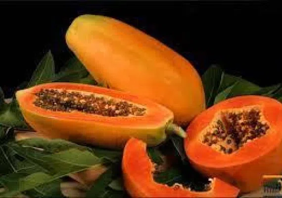 روستای درک زر آباد، روستایی با چهار ساحل متنوع