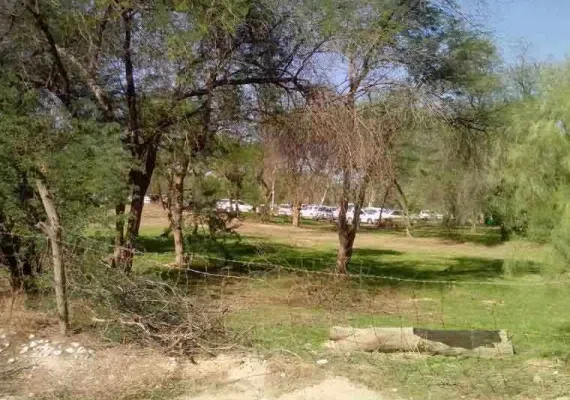 پارک جنگلی چاهکوتاه
