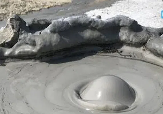 گل فشان پزم، محل درمان دردهای عضلانی و بیماری های پوستی